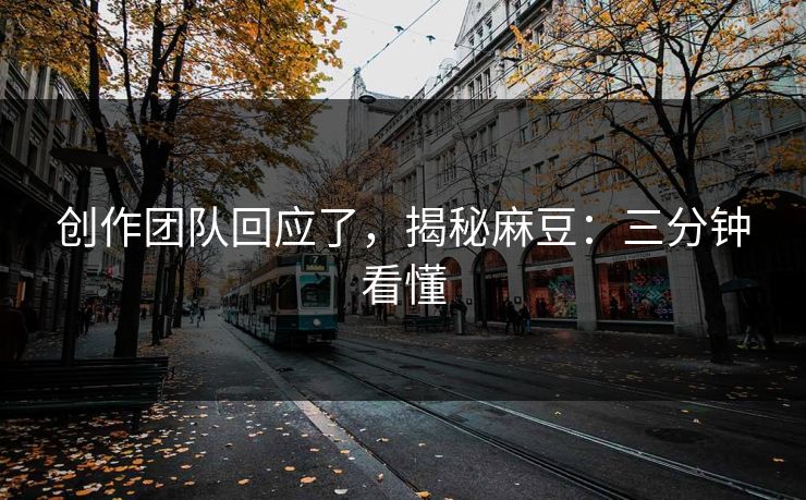 创作团队回应了，揭秘麻豆：三分钟看懂