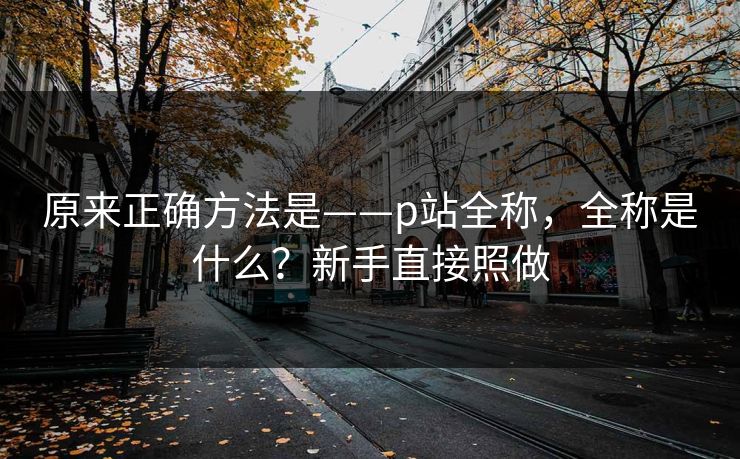 原来正确方法是——p站全称，全称是什么？新手直接照做