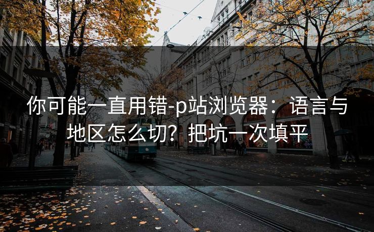 你可能一直用错-p站浏览器：语言与地区怎么切？把坑一次填平