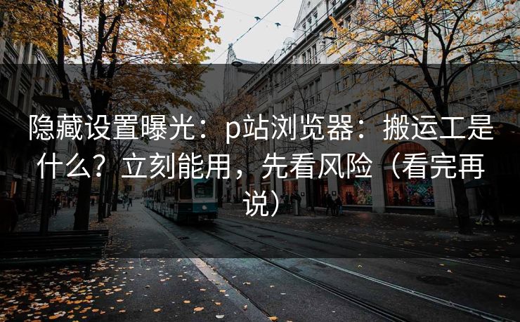 隐藏设置曝光：p站浏览器：搬运工是什么？立刻能用，先看风险（看完再说）