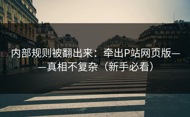 内部规则被翻出来：牵出P站网页版——真相不复杂（新手必看）