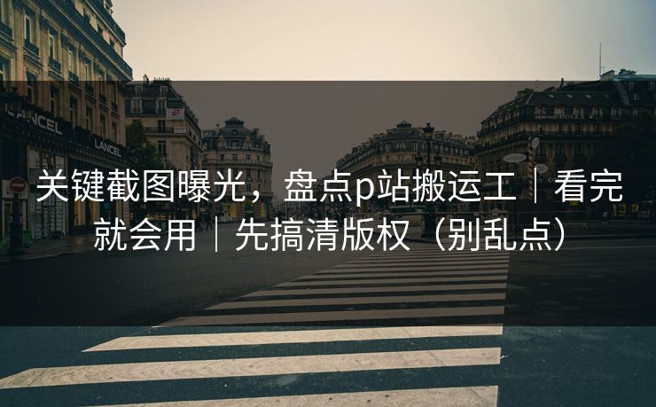 关键截图曝光,盘点p站搬运工|看完就会用|先搞清版权(别乱点) 关键截图曝光,盘点p站搬运工|看完就会用|先搞清版权(别乱点)