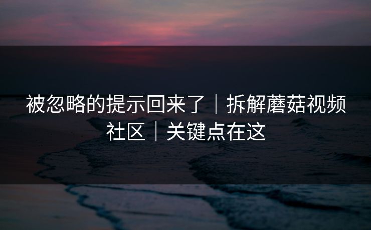 被忽略的提示回来了|拆解蘑菇视频社区|关键点在这 被忽略的提示回来了|拆解蘑菇视频社区|关键点在这
