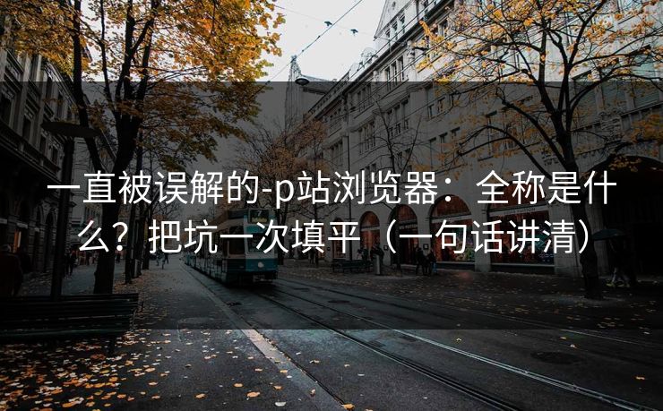 一直被误解的-p站浏览器：全称是什么？把坑一次填平（一句话讲清）