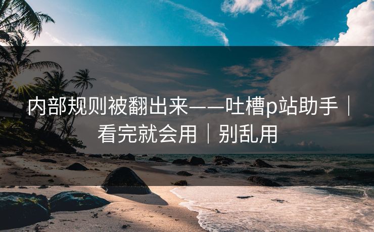 内部规则被翻出来——吐槽p站助手|看完就会用|别乱用 内部规则被翻出来——吐槽p站助手|看完就会用|别乱用