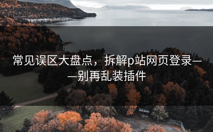 常见误区大盘点，拆解p站网页登录——别再乱装插件
