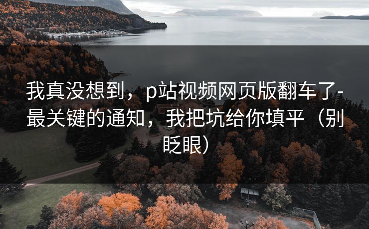 我真没想到，p站视频网页版翻车了-最关键的通知，我把坑给你填平（别眨眼）