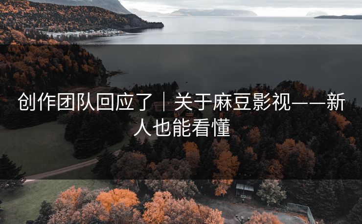 创作团队回应了｜关于麻豆影视——新人也能看懂